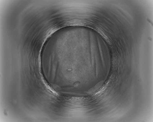 X0000098020840200804071351