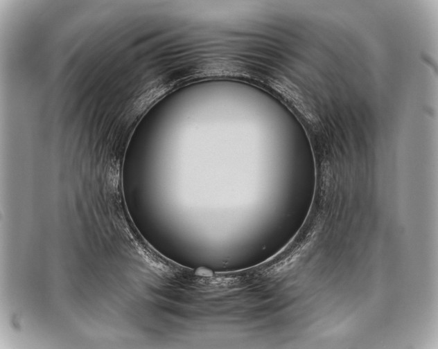 X0000098020841200804071351