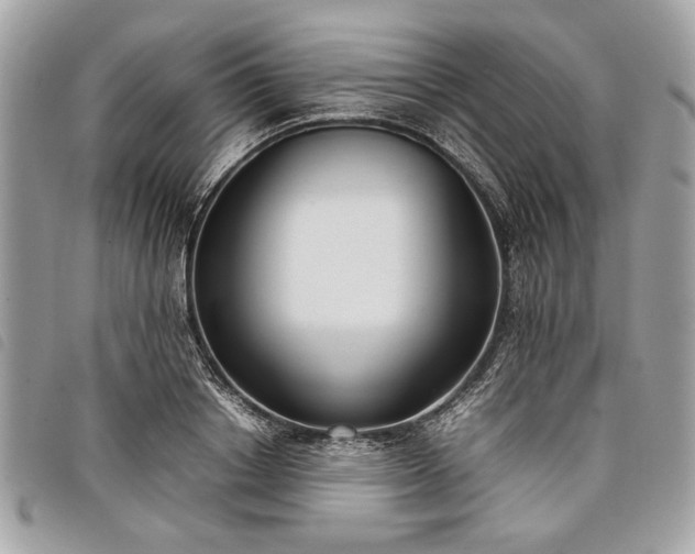 X0000098020842200804071351