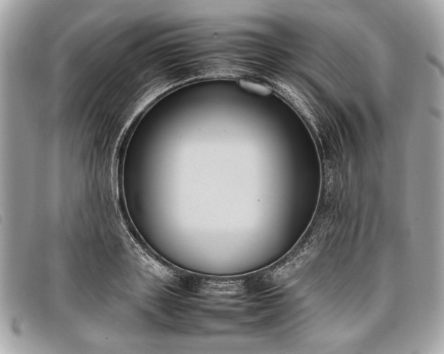 X0000098020843200804071351