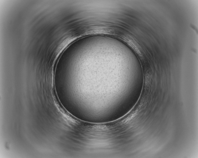 X0000098020844200804071351