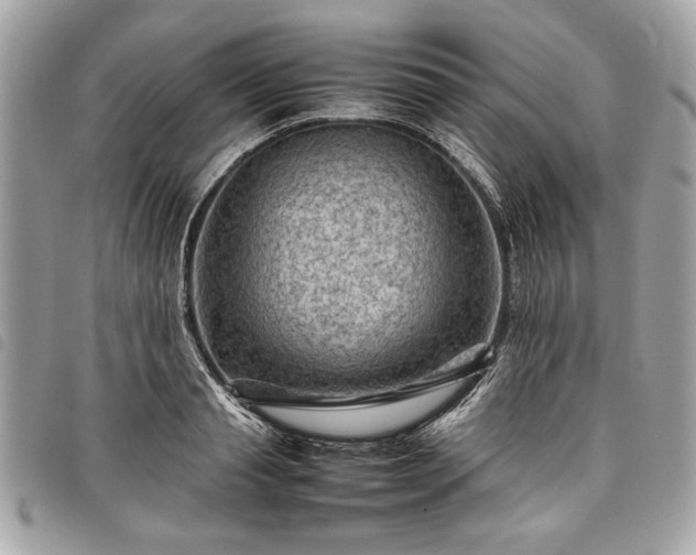 X0000098020845200804071351