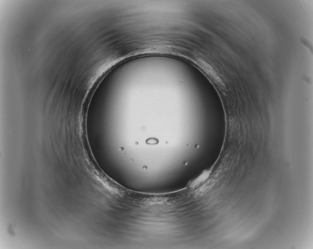 X0000098020846200804071351