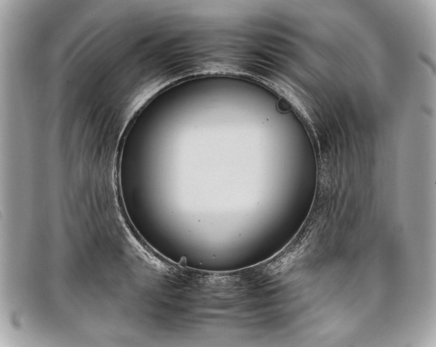 X0000098020847200804071351