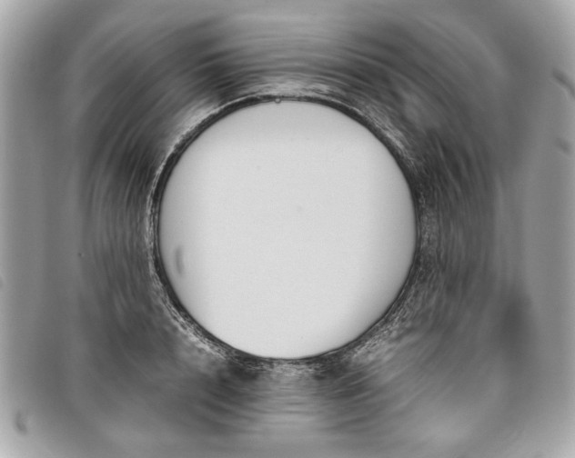 X0000098020848200804071351