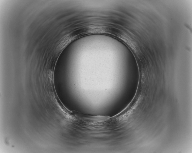 X0000098020849200804071351