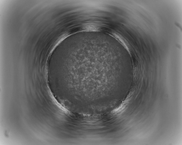 X0000098020851200804071351