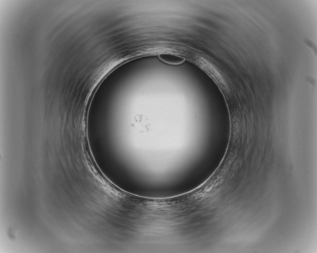 X0000098020852200804071351