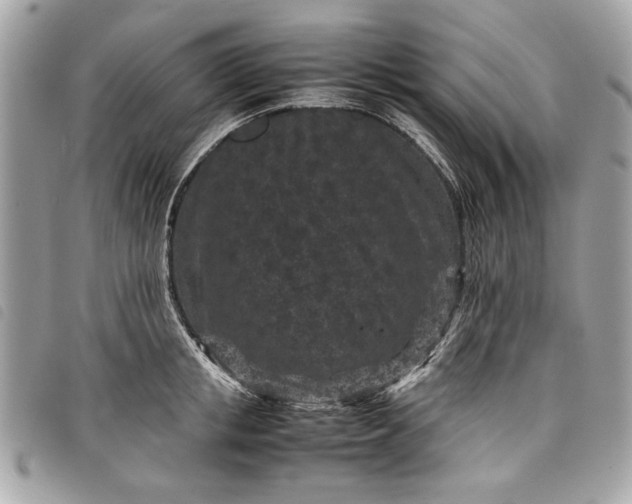 X0000098020853200804071351