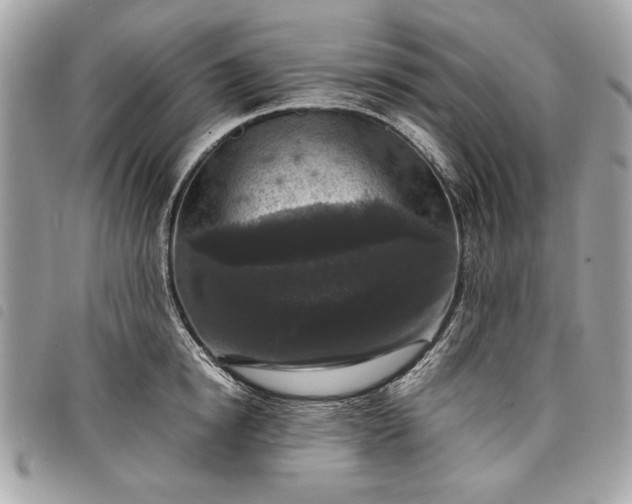 X0000098020854200804071352