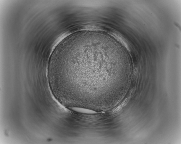 X0000098020855200804071352