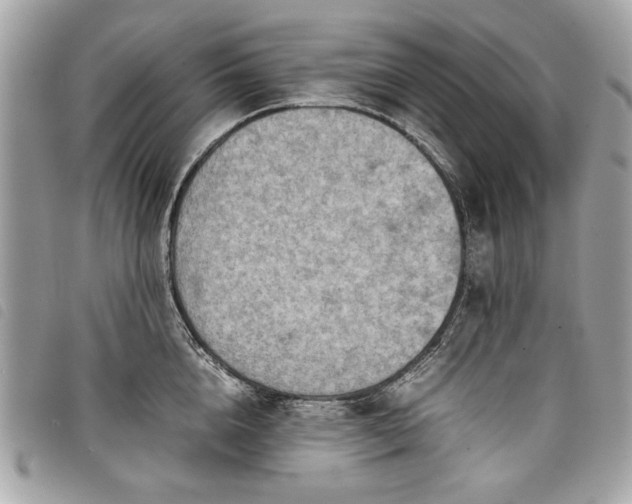 X0000098020856200804071352