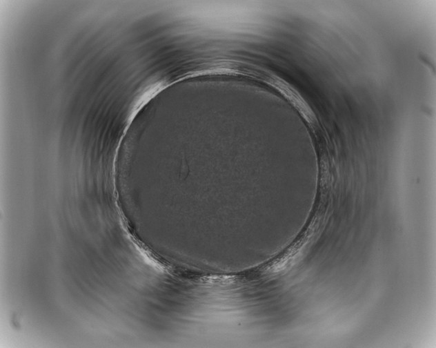 X0000098020858200804071352