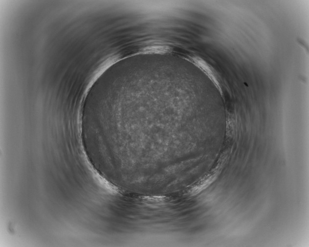 X0000098020859200804071352