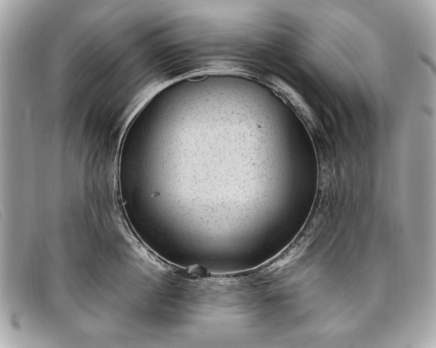 X0000098020860200804071352