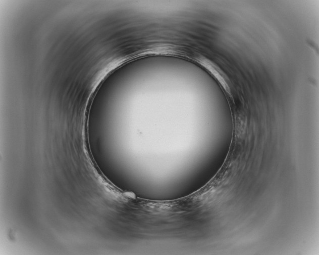 X0000098020861200804071352