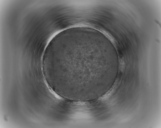 X0000098020862200804071352