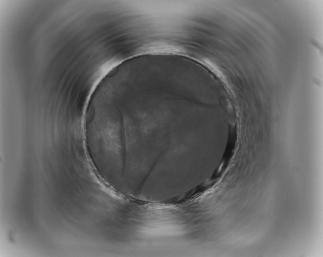 X0000098020864200804071352