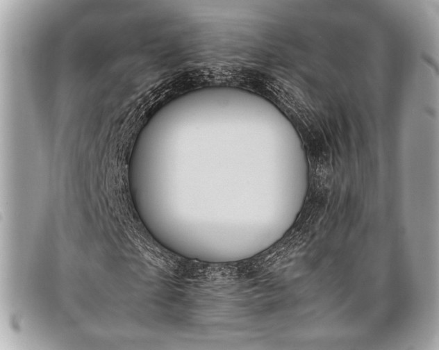 X0000098020865200804071351