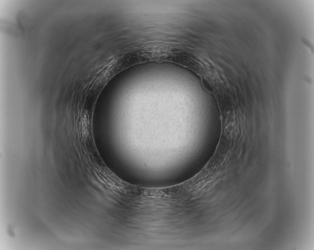 X0000098020866200804071351