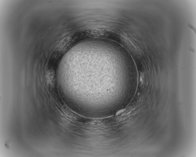 X0000098020867200804071351