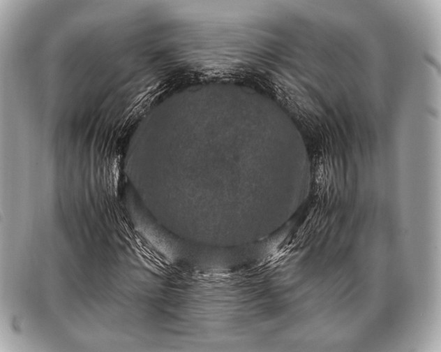 X0000098020868200804071351