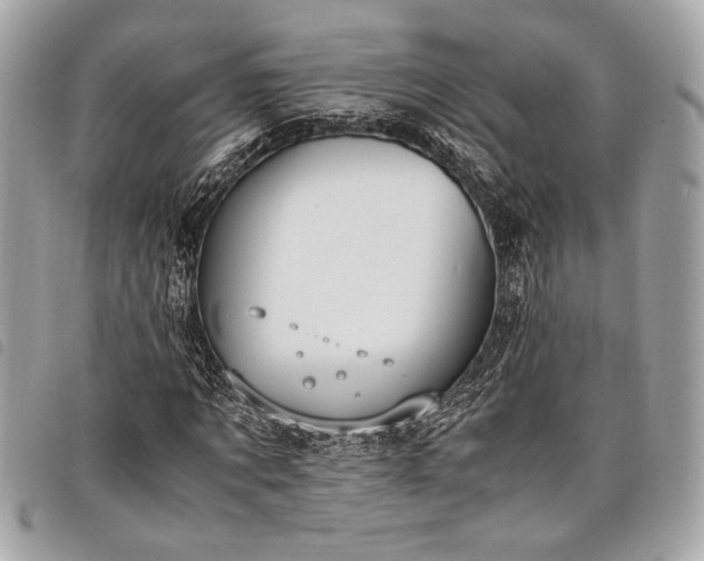 X0000098020869200804071351