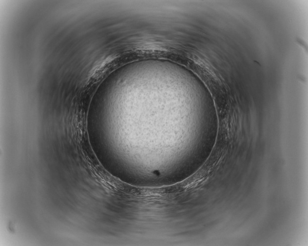 X0000098020870200804071351