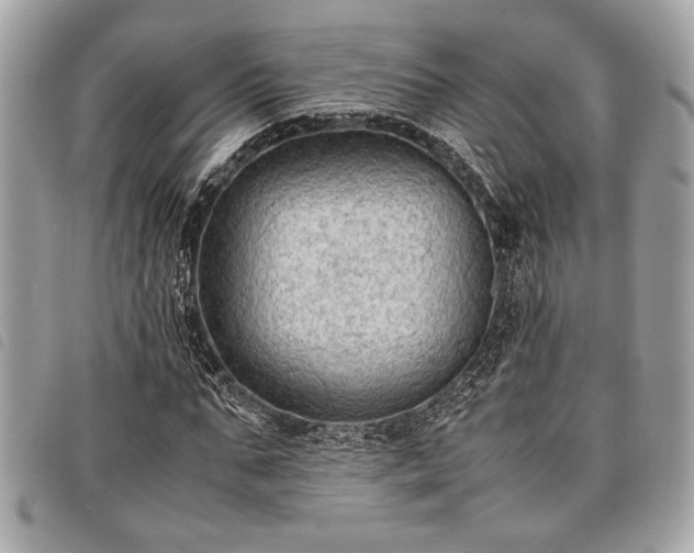 X0000098020871200804071351