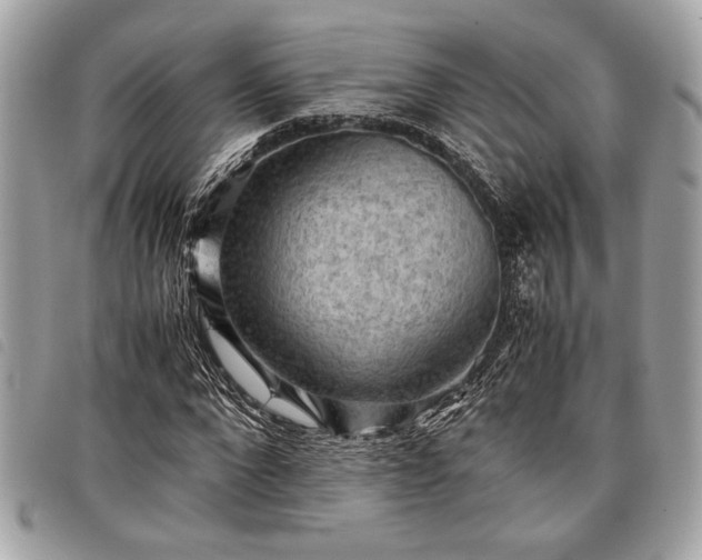 X0000098020872200804071351