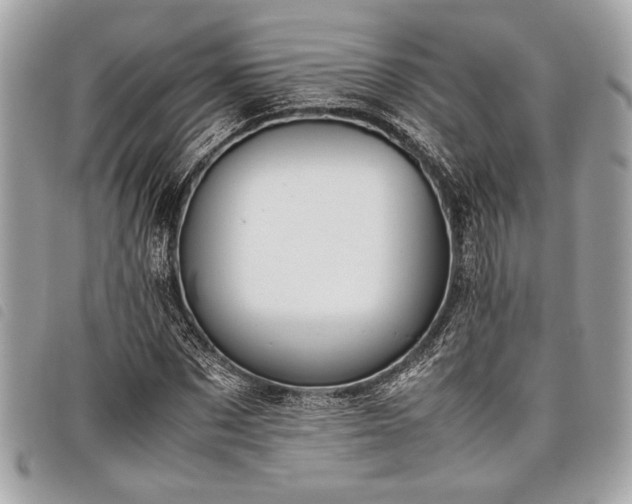 X0000098020873200804071351