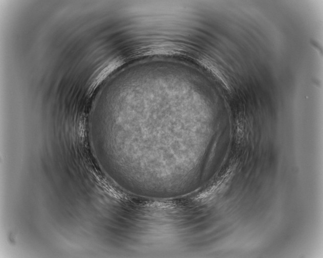 X0000098020874200804071351