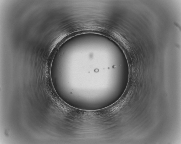 X0000098020875200804071350