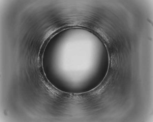 X0000098020876200804071350