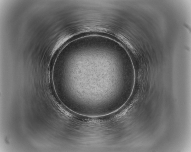 X0000098020877200804071350