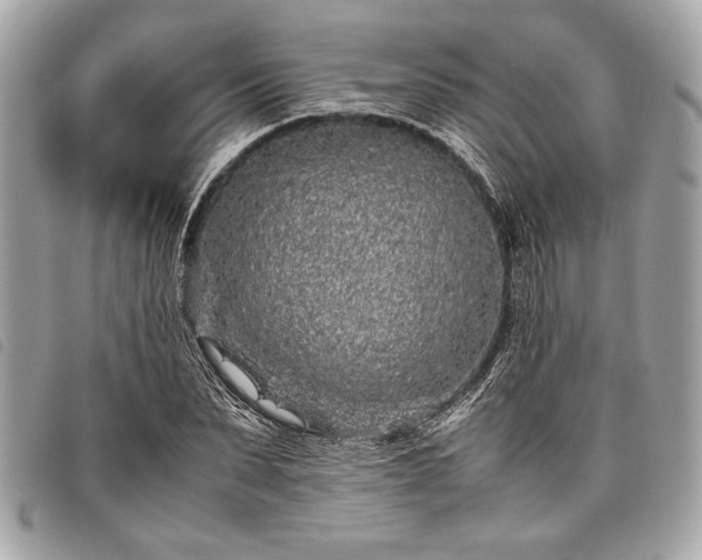 X0000098020879200804071350