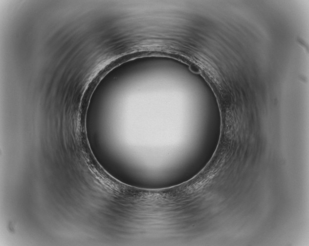 X0000098020880200804071350