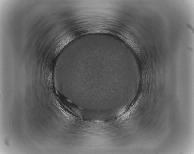 X0000098020881200804071350