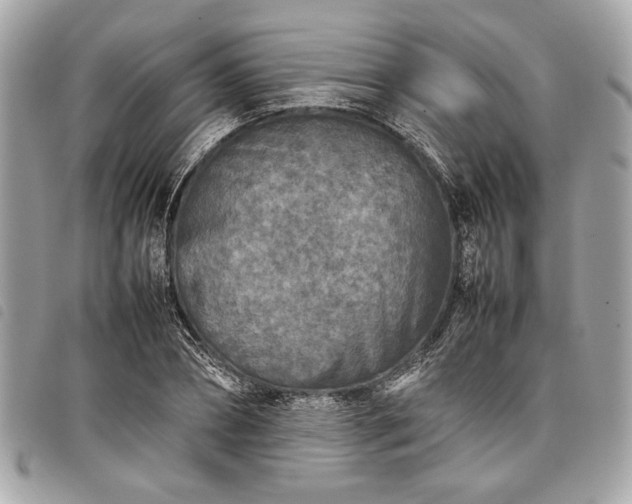 X0000098020882200804071350