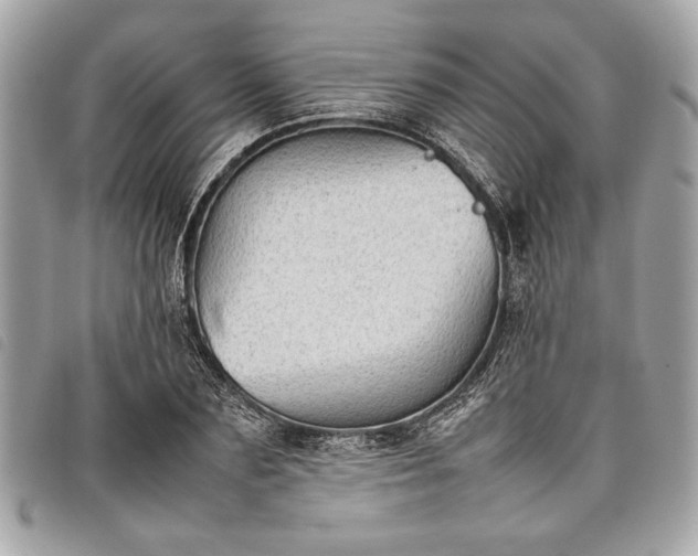 X0000098020883200804071350