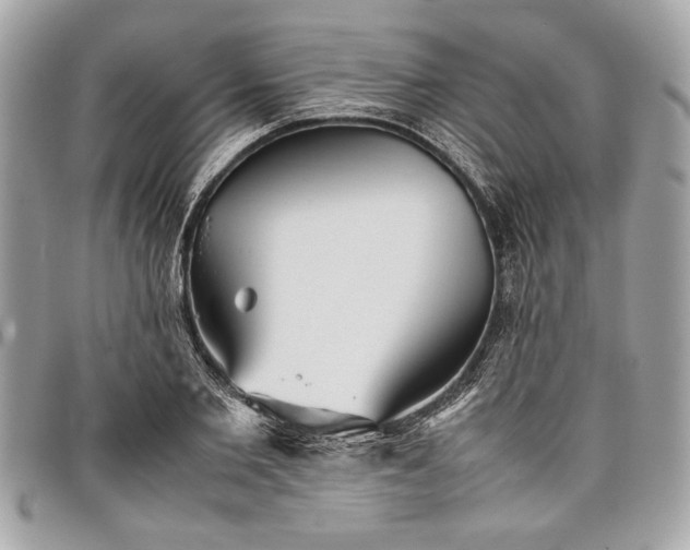 X0000098020885200804071350