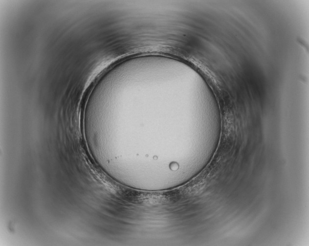 X0000098020886200804071350