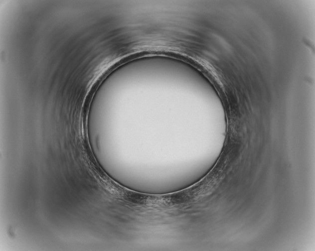 X0000098020887200804071350