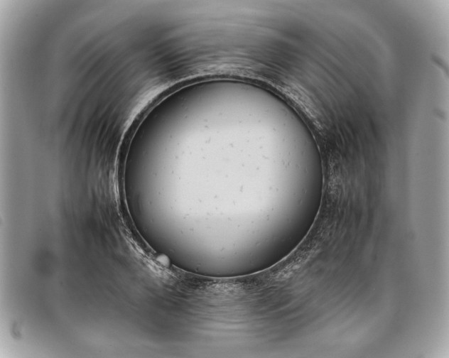 X0000098020888200804071350