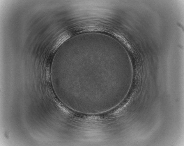 X0000098020889200804071350