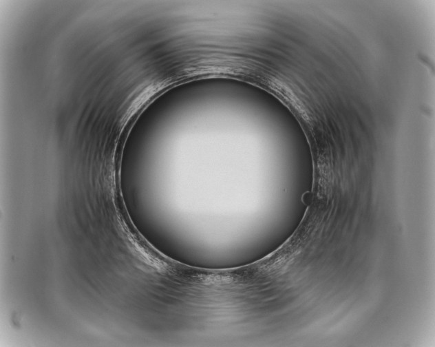 X0000098020890200804071350