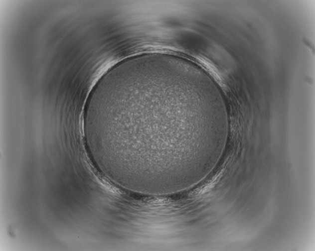 X0000098020891200804071350