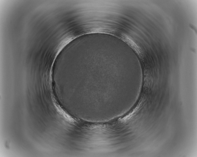 X0000098020892200804071350