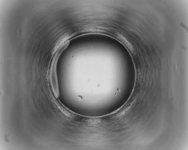 X0000098020893200804071350