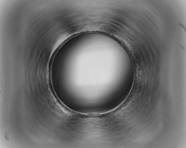 X0000098020894200804071350